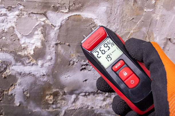 Best Commercial Mold Removal  in Waterloo, IL